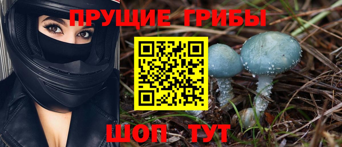 Псилоцибиновые грибы GOLDEN TEACHER Кызыл